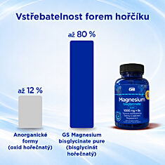 GS Magnesium bisglycinate pure 1000 mg + B6, 100 + 10 tablet NAVÍC, dárkové balení