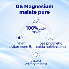 GS Magnesium malate pure 1000 mg + B6, 100 tablet