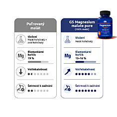 GS Magnesium malate pure 1000 mg + B6, 100 tablet