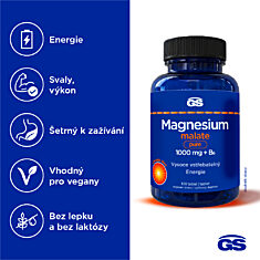 GS Magnesium malate pure 1000 mg + B6, 100 tablet