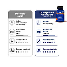 GS Magnesium malate pure 1000 mg + B6, 2 × 100 + 10 tablet NAVÍC, dárkové balení