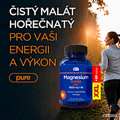 GS Magnesium malate PURE 1000 mg + B6, 100+30 tablet XXL