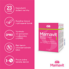 GS Mamavit 1 Plánování a 1. trimestr, 90 tablet