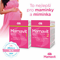 GS Mamavit 1 Plánování a 1. trimestr, 90 tablet
