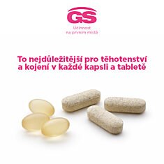 GS Mamavit 2 Těhotenství a kojení, 30 tablet + 30 kapslí