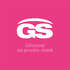 GS Mamavit 1 Plánování a 1. trimestr, 90 tablet