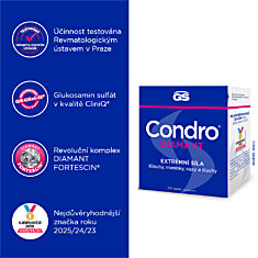 GS Condro® DIAMANT, 100+60 tablet NAVÍC, dárkové balení