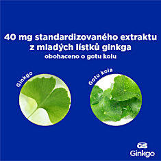 GS Ginkgo 40 mg, 2 × 120 tablet