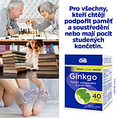 GS Ginkgo 40 mg, 2 × 120 tablet