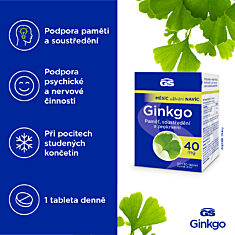 GS Ginkgo 40 mg, 2 × 120 tablet