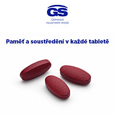 GS Ginkgo 40 mg, 2 × 120 tablet