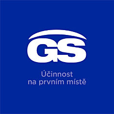 GS Ginkgo 40 mg, 2 × 120 tablet