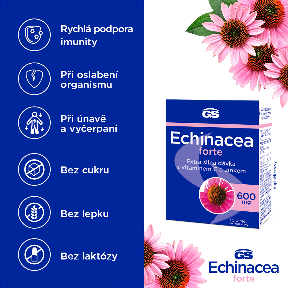 GS Echinacea Forte 600, 30 tablet (obrázek 5)