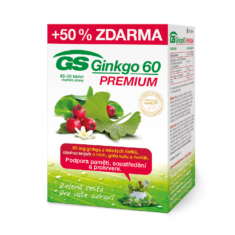 GS Ginkgo 60 PREMIUM, 60+30 tablet