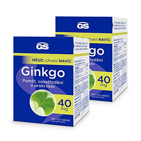 GS Ginkgo 40 mg, 2 x 120 tablet