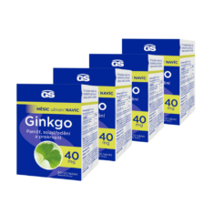 GS Ginkgo 40 mg, 4 x 120 tablet