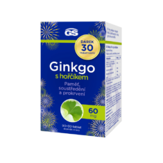 GS Ginkgo 60 mg s hořčíkem, 90+30 tablet NAVÍC, dárkové balení 2025