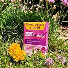 GS Anxiolan, 60 tablet
