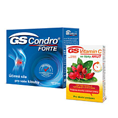 GS Condro® FORTE, 120 tablet