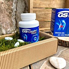 GS Condro® FORTE, 120 tablet