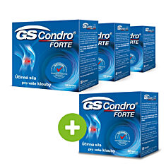 GS Condro® FORTE 360 tablet