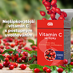 GS Vitamin C 1000 se šípky, 4 × 120 tablet