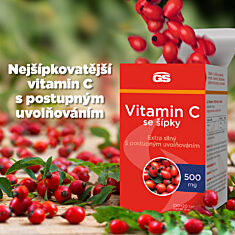 GS Vitamin C 500 se šípky, 100+20 tablet
