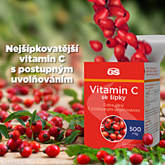 GS Vitamin C 500 + šípky, 50+10 tablet