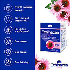 GS Echinacea Forte 600, 2 × 90 tablet