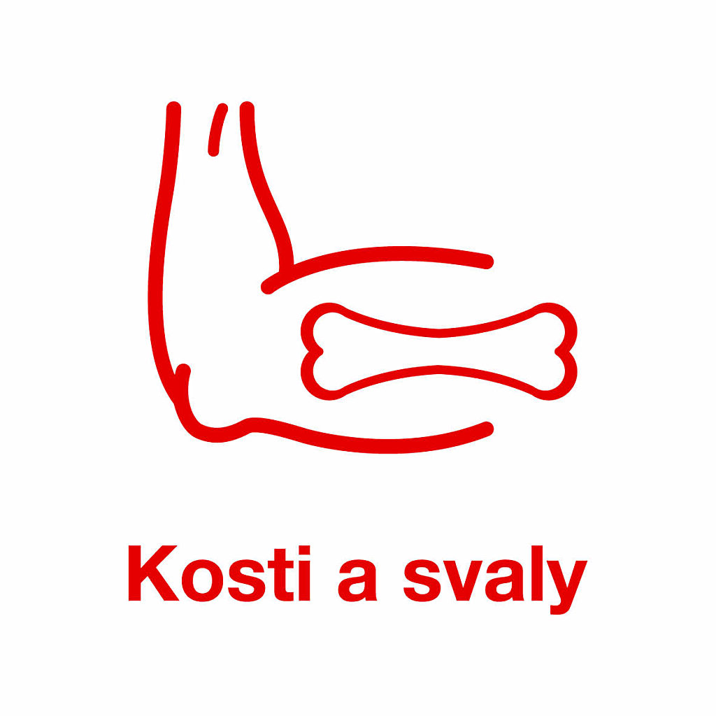 kosti