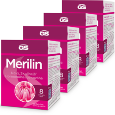 GS Merilin, 4 × 60 tablet