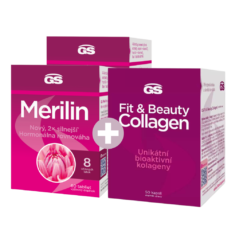 GS Merilin, 2 × 60 tablet