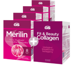 GS Merilin, 4 × 60 tablet