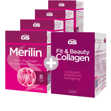 GS Merilin, 4 × 60 tablet