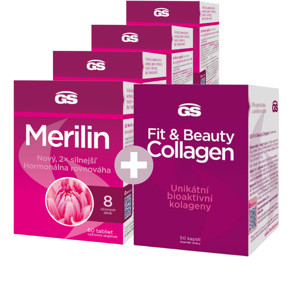 GS Merilin, 4 × 60 tablet