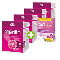 GS Merilin, 4 × 60 tablet