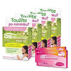 GS MimiStar FORTE 360 tablet