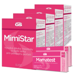 GS MimiStar, 360 tablet