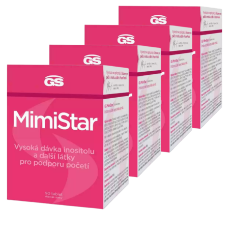 GS MimiStar, 360 tablet