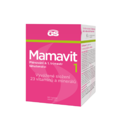 GS Mamavit 1 Plánování a 1. trimestr, 90 tablet