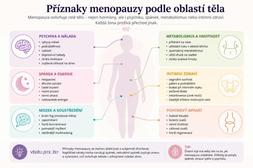 Přehledný seznam příznaků menopauzy.