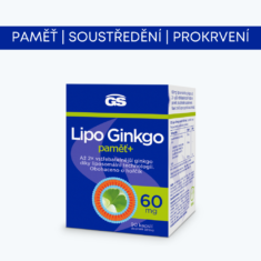 GS Lipo Ginkgo paměť+ 60 mg, 90 kapslí