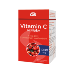 GS Vitamin C 1000 se šípky, 100+20 tablet