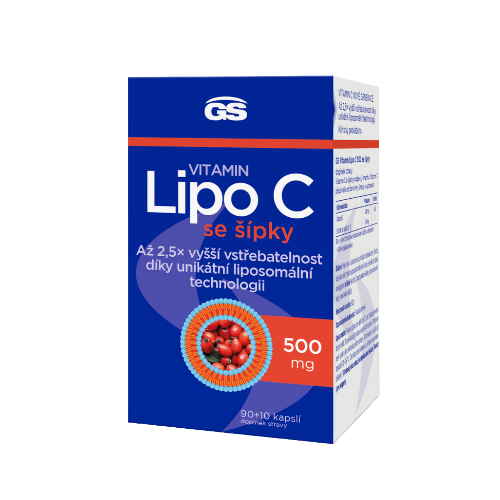 GS Vitamin Lipo C 500 mg se šípky, 90+10 kapslí